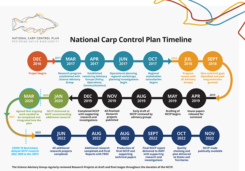 Infographic of NCCP timeline. Select image to view enlarged PDF version in detail