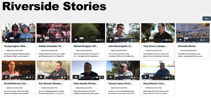 Visual overview of Riverside stories on Vimeo