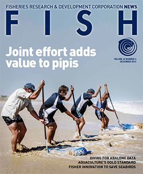 FISH Vol 22 4 magazine cover