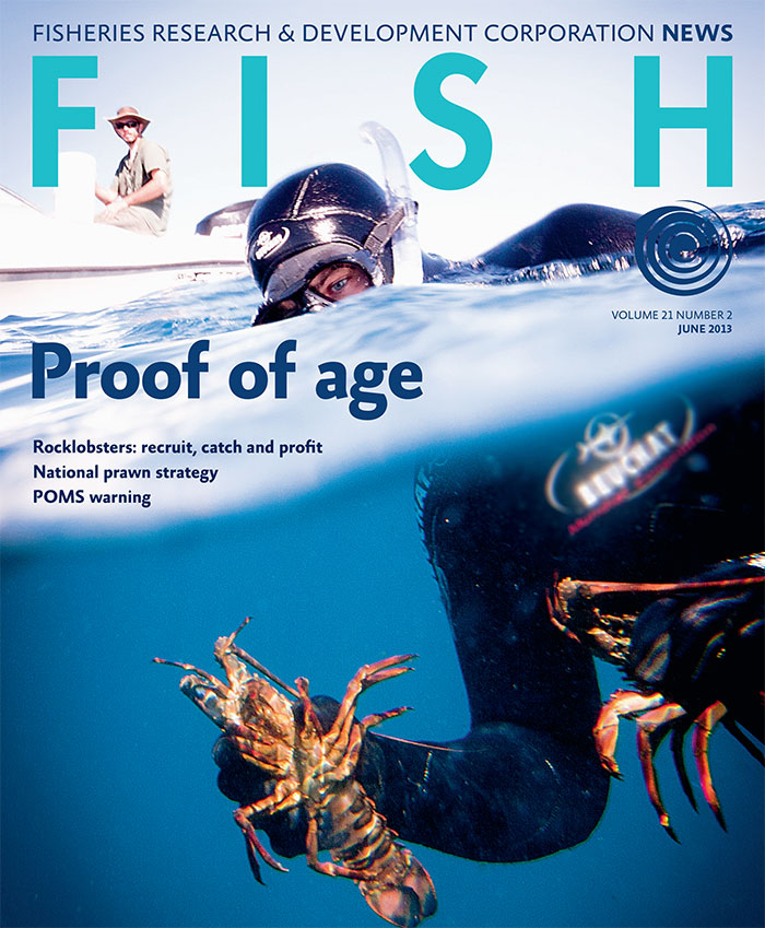 FISH Vol 21 2 magazine cover