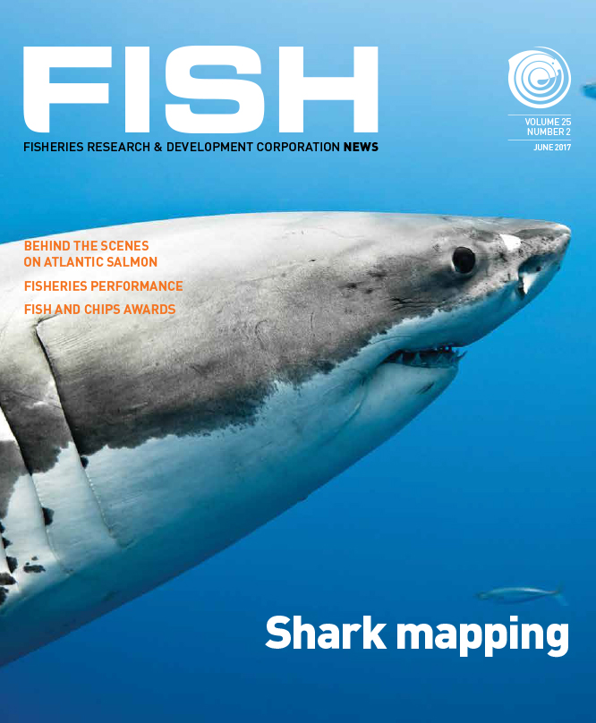 FISH Vol 25 2 magazine cover