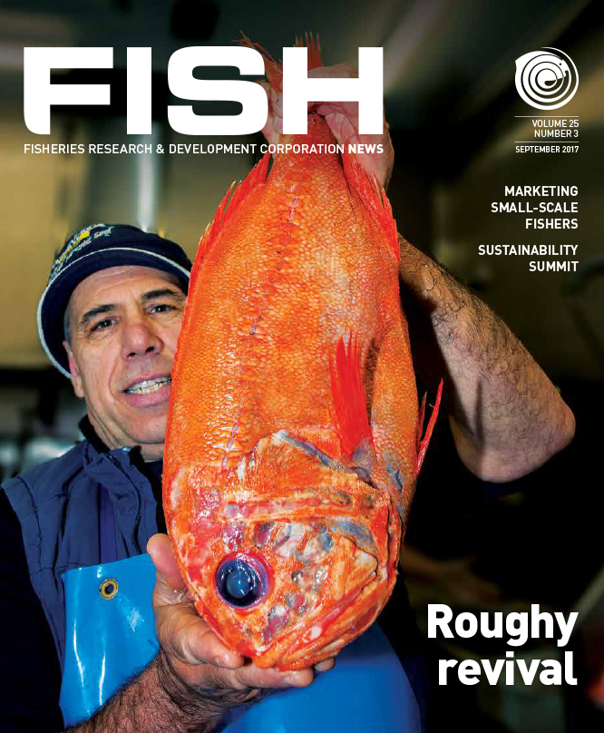 FISH Vol 25 3