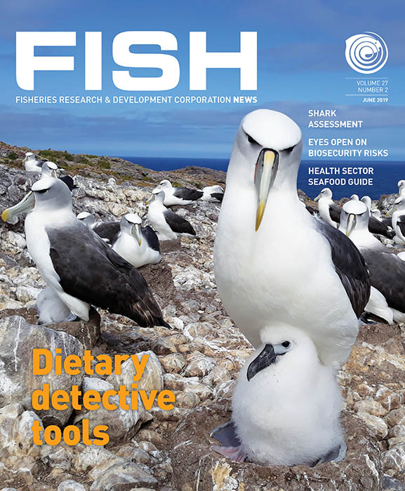 FISH Vol 27 2 magazine cover