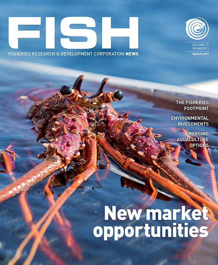 FISH Vol 27 1 magazine cover