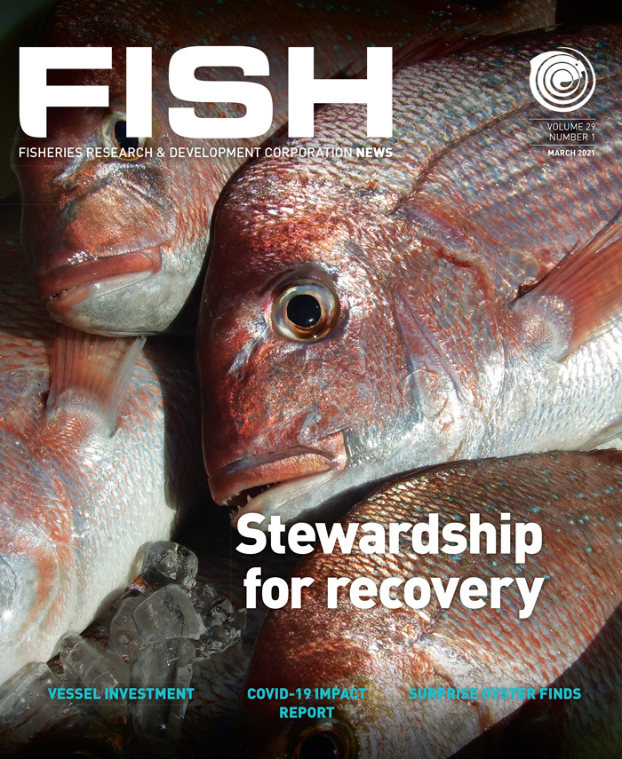 FISH Vol 29 1 magazine cover
