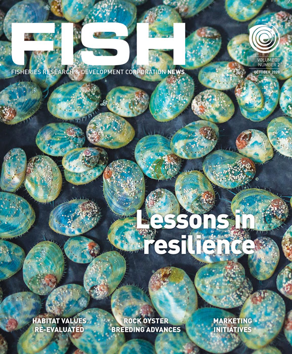 FISH Vol 28 2 magazine cover