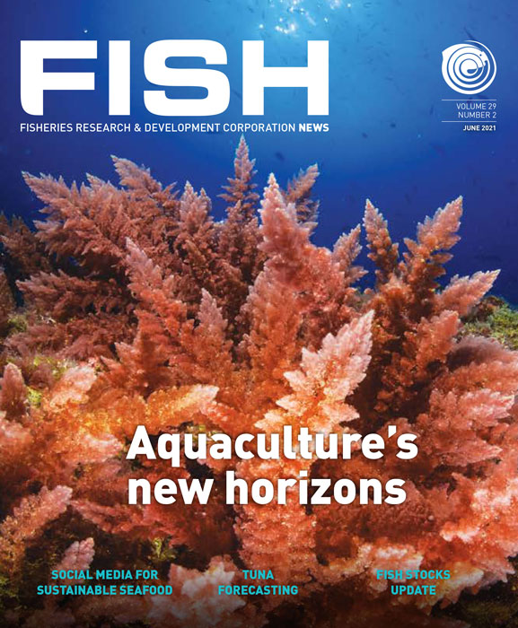 FISH Vol 29 2 magazine cover