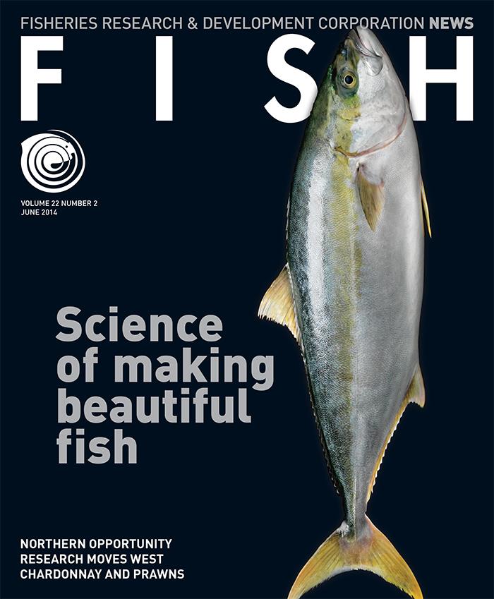 FISH Vol 22 2 magazine cover