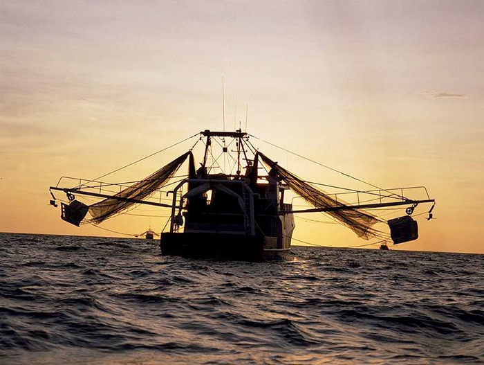 Photo of an Australian prawn trawler at sunset. Photo: Garry Day