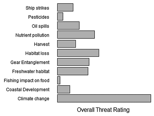 Source: How to sustain food from the seas while protecting marine ecosystems, presentation at Seafood Directions 2022 by Professor Ray Hilborn, Univeristy of Washington, School of Aquatic and Fishery Sciences Source: How to sustain food from the seas while protecting marine ecosystems, presentation at Seafood Directions 2022 by Professor Ray Hilborn, Univeristy of Washington, School of Aquatic and Fishery Sciences