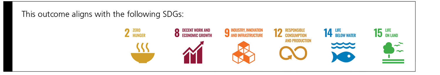 An image of the United Nations Sustainable Development Goals this Outcome is aligned with: 2, 8, 9, 12, 14 & 15.