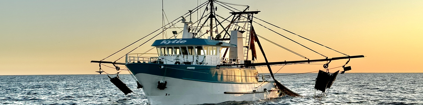 Prawn_Fishers_FRDC News