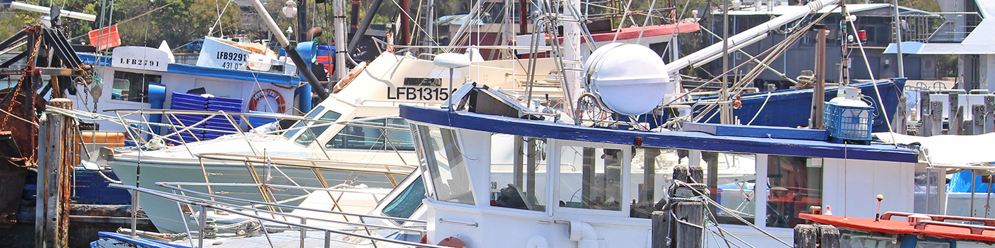 Fisheries_Banner_July_News
