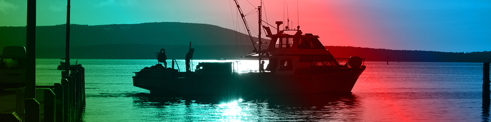 Commercial Wildcatch: Seek a New perspective