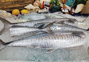 Taroona Fish and Mackerel