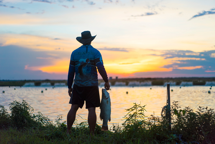 Humpty Doo Barramundi general manager Dan Richards surveys his fish farm at sunset.