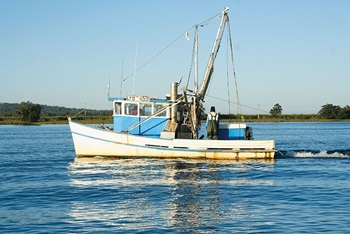 Fishers at Yamba