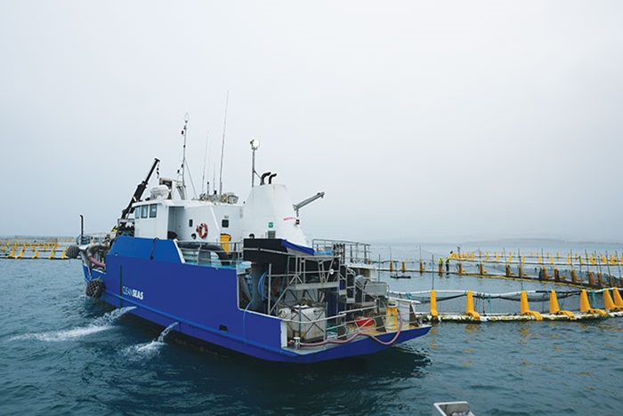 Photo of Clean Seas Yellowtail Kingfish operations (blue boat on water) at Port Lincoln, South Australia