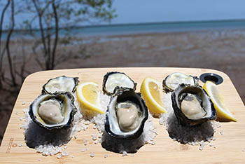 Photo of Blacklip Oysters