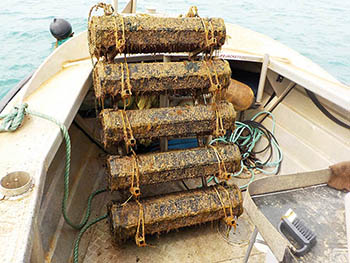 Photo of oyster baskets from the Pilbara region