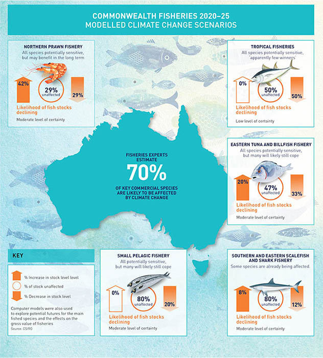 Infograph of projected fisheries in 2020-25