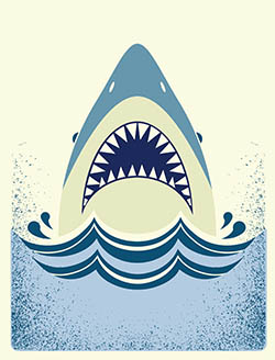 Illustration of shark