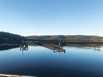 Photo of Shellfish Culture Ltd, in Tasmania