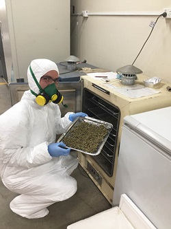 Photo of Andreas Seger in the lab