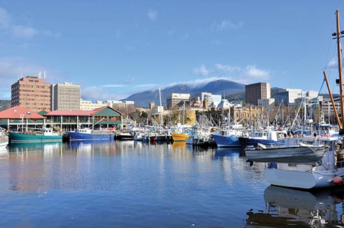 Photo of fishing boats in Hobart harbour