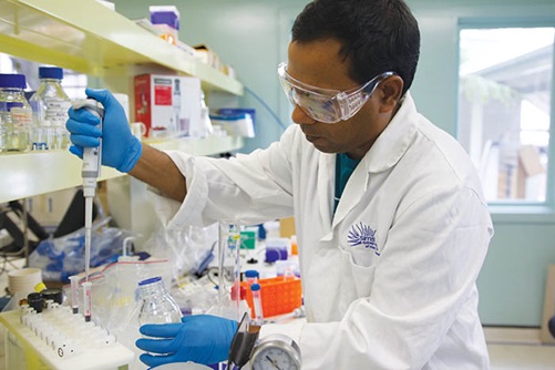 Photo of Chowdhury Sarowar in the Biotoxin facility at the Sydney Institute of Marine Science