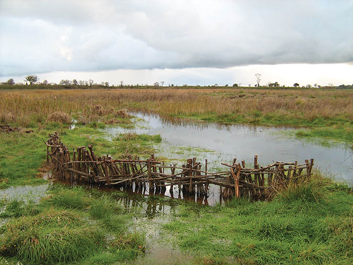 Photo of channel with reconstructed stake, branch and weir