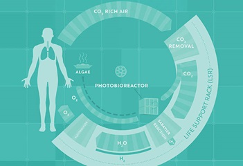 Graphic of integration of the photobioreactor