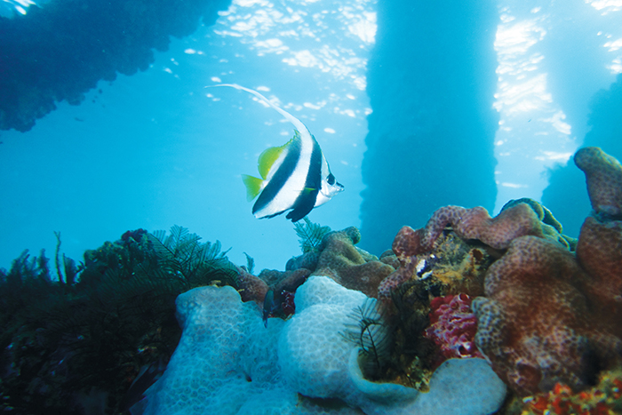 Artificial reefs