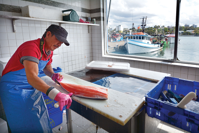 fish, filleting fish