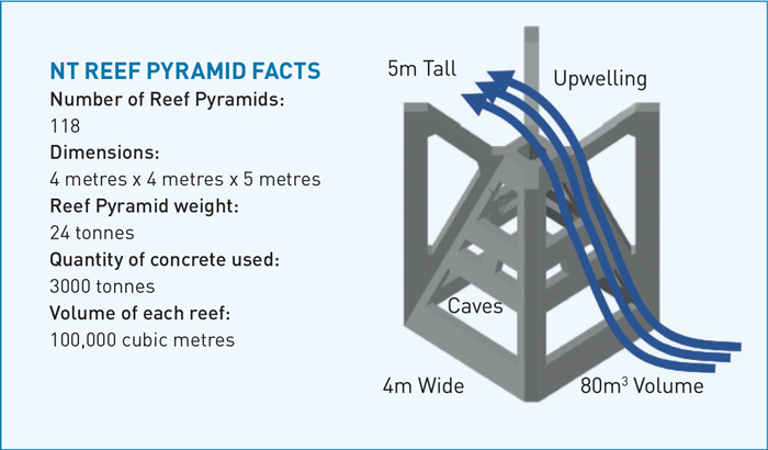 NT reef pyramid diagram