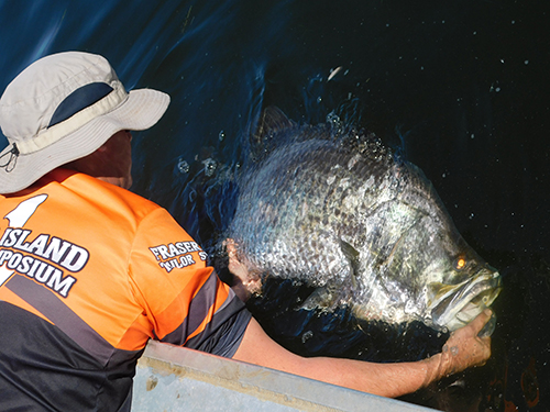 Photo of a fisher with a Barramundi