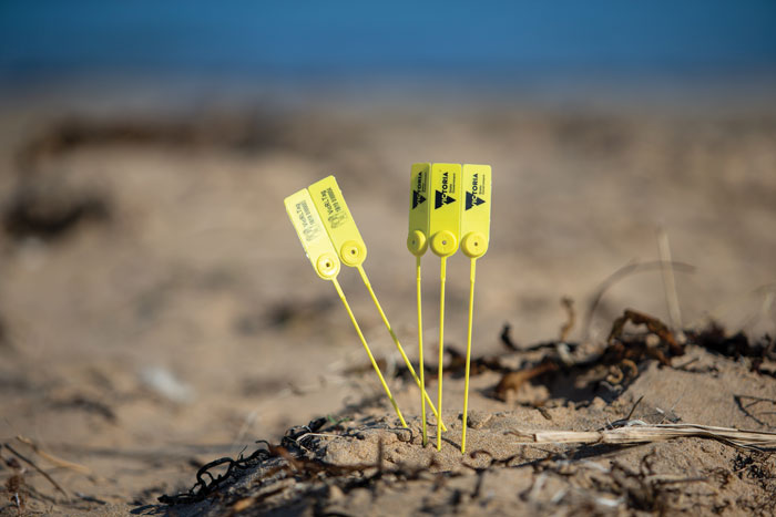 Recreational fishers provide mandatory tag data and can volunteer extra information.  Photo: Victorian Fisheries Authority