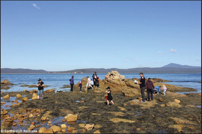 Tidal pool volunteers. Photo: Earthwatch