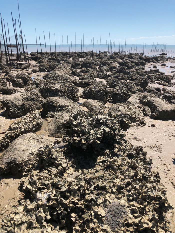 Traditional fish trap built and operated by Donald Bonson, Northern Territory.  Photo: Sam Nowland