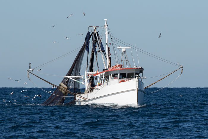 A fishing trawler at sea, Port Stephens, NSW, Australia.  Photo: Shutterstock