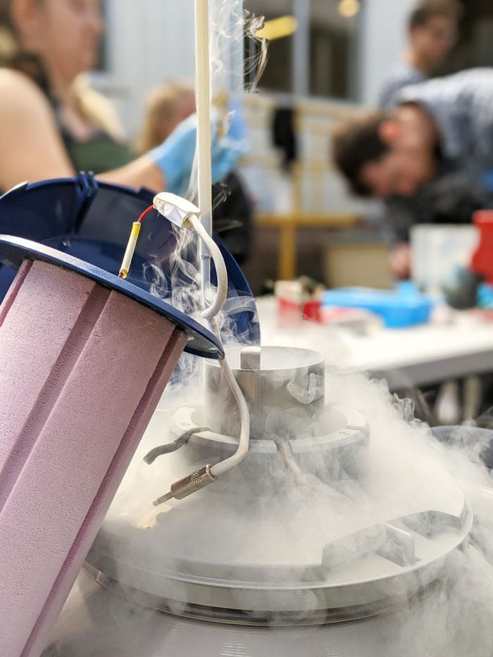 photo of Gut microbiome and DNA samples are frozen in liquid nitroge