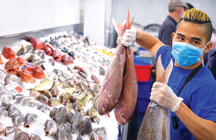 worker with fish at fish market