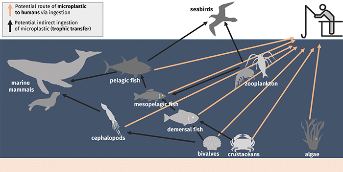 Additional image depicting factors causing plastics to degrade