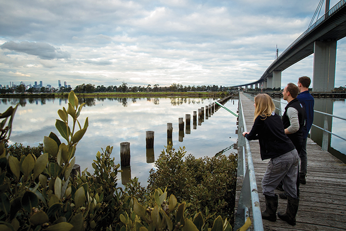 Image of Blue Carbon Lab members at work at the Stony Backwash site, Port Philip Bay. Photo: Blue Carbon Lab, Deakin University