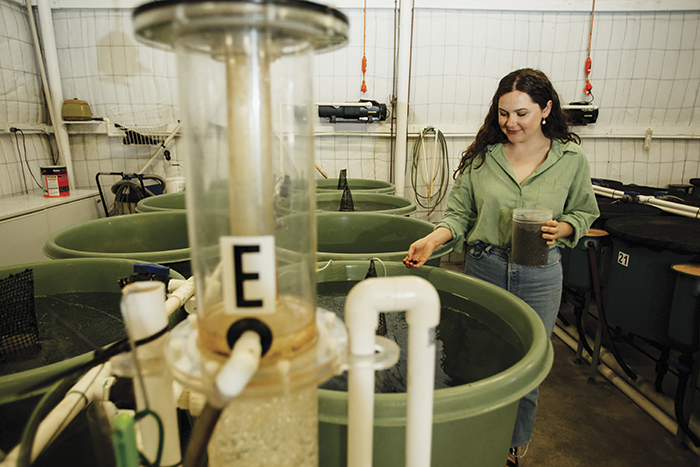 Photo of Isobel Sewell’s PhD work is proving rewarding, both in results and experience gained in the aquaculture field.