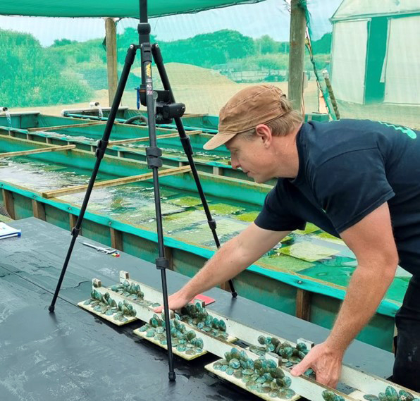 Image of Kurt Schoenhoff of JCU arranging abalone hides for image capture. Abalone are counted and measured directly from the captured images.