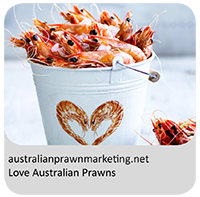 Preview of image of Love Australian Prawn campaign website