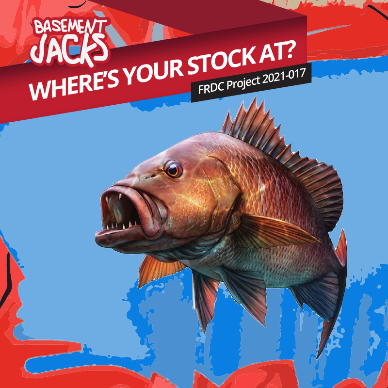 Basement Jacks Graphic