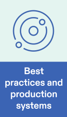 Best Practices