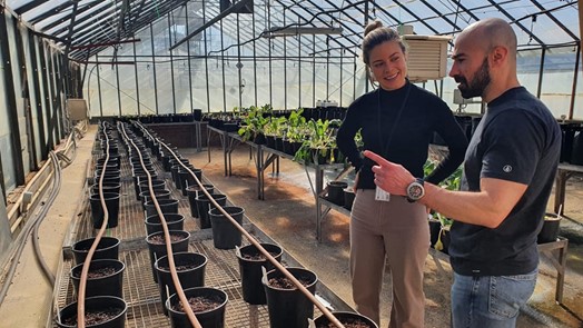 Post Doctoral researcher at University of Tasmania, Harriet Walker, and Technical Officer at the University of Tasmania, Paolo Campus, discussing the setup of the sunflower Sea Urchin Waste plant growth trial within the Tasmanian Institute of Agriculture glasshouse